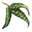 Image:Pea Leaves.png