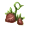 Image:Strawberries.png