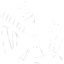 Image:Garden Spider Silk.png