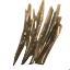 Image:Rotting Twigs1.png