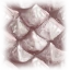 Image:Flounder Scales.png