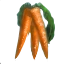 Image:Carrots.png