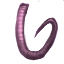Image:Pink Rat Tails.png