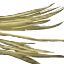 Image:Slimy Rat Whiskers.png