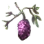 Image:Raspberrys.png