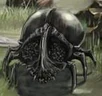 War Beetle