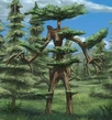Sprucen Protector