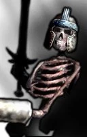 Second skeleton warrior portrait