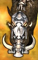 dire boar portrait
