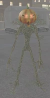Fir Bolg Guardian