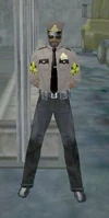 Cage Consortium Officer