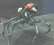 Rogue Tarantula Queen