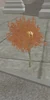 Hidden Spawn