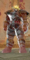 The corrupted Praetorian Infernal