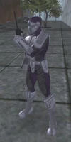 Vanguard Sergeant