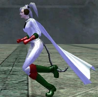 Winter 2006 Costume pieces