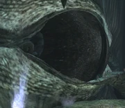 Eye of Leviathan