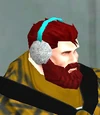 Ear Muffs