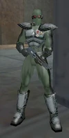 Nebula Cor Leonis Adjutant