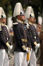 Changing the Guard, at the Château de Fontainebleau-Versailles, Labonne