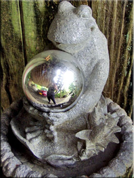 Image:Frog3.jpg