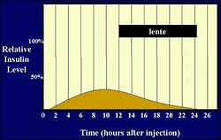 Human time activity profile for lente insulin. This is the same graphic shown on our Lente page.