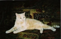 Nemesis-April 2006