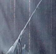 Image:Cord.jpg