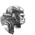 Urko in Neil Foster & Michael Whitty's 'Going Home'; illustration by Neil Foster