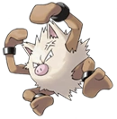 Image:Colossinge.png