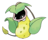Image:Empiflor.png