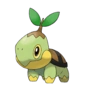 Image:Tortipouss.png
