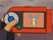 Minun's Pokédex entry.