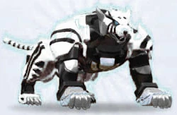 White Tiger Animal Spirit