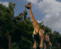 GaoGiraffe
