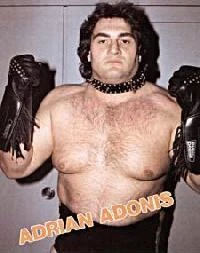 File:Adrian-Adonis.jpg