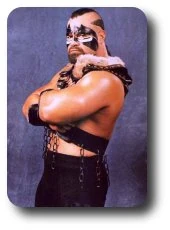 Image:The_Barbarian.jpg‎