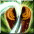 Image:Log Split.gif