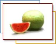An ice-box watermelon