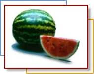 An allsweet watermelon