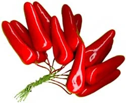 Chili Peppers