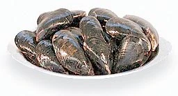 Raw Mussels