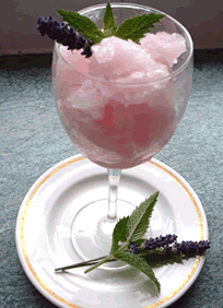 Sorbet
