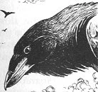 Image:Ironbeak.jpg