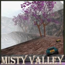 Misty Valley