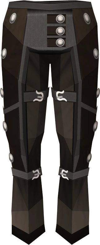 A detailed view of Studded chaps