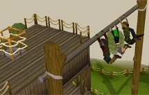Extended Agility courses