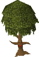 A normal tree ent.
