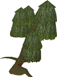 A willow tree ent.