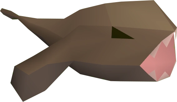 Detailed view of monkfish